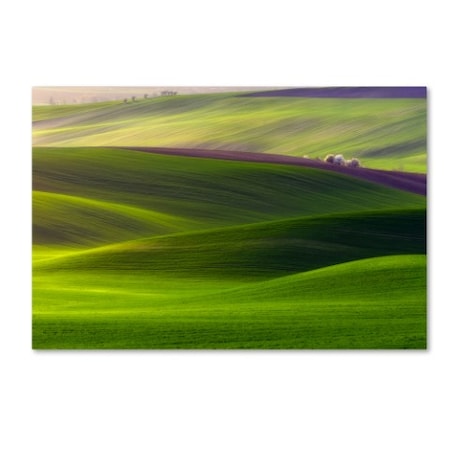 Trademark Fine Art